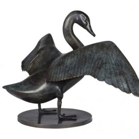 lucy-mceachern-australian-black-swan-4