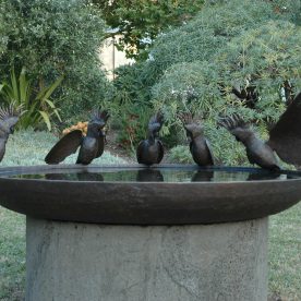 wws-1700mm-cockatoo-birdbath-bowl