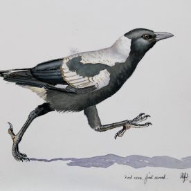 Richard Weatherly Baby Magpie No 1 SOLD