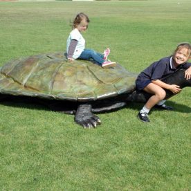 giant-turtle