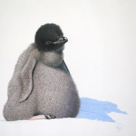 Richard Weatherly Adelie Penguin Chick Shmoo Gouache on paper 21 x 30cm $1,400 p223