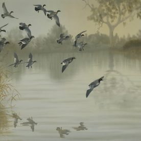 Richard Weatherly Early Morning - Wood Duck Print 43 x 59cm Edition of 500 Framed $550 ORDERS TAKEN