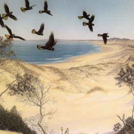 Richard Weatherly Edge of the Dunes Giclee' Ed of 500 43 x 61cm Framed $550 p263 ORDERS TAKEN