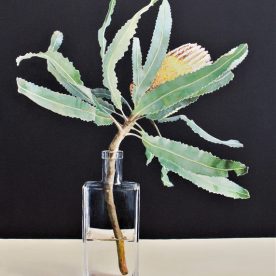 Helen Masin Crazy with Gin Bottle - Banksia Acrylic on canvas Natural Frame 480 x 580mm sold
