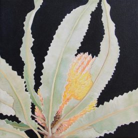 Helen Masin A Little Crazy - Banksia Acrylic on Canvas Natural Frame 280 x 280mm sold