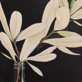 Helen Masin Don't Look Back - Coastal Banksia Integrifolia Acrylic on Canvas 330 x 330mm Natural Frame sold