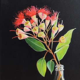 Helen Masin Small Red Blossom in Bottle - Corymbia Ficifolia Acrylic on Canvas 280 x 330mm Natural Frame $650