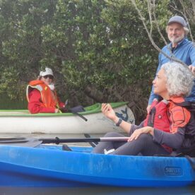 Kayak #3 in the Mangroves of the Barwon