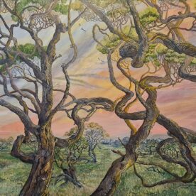 Linda Gallus Moonah Woodland Acrylic on Canvas 77 x 102cm $3,100