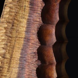 Lucas Guilbert Texture Arc Acacia melanoxylon (Blackwood)