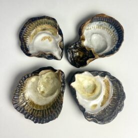 Kirsty Manger Oyster Series $95-$110