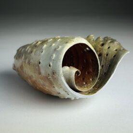 Kirsty Manger 2 Curl 15 x 14x 18cm $350 Kirsty Manger 2 Curl 15 x 14x 18cm $350