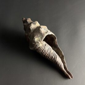 Kirsty Manger 28 Memory 19 x 101 x 26cm $300 Kirsty Manger 28 Memory 19 x 101 x 26cm $300