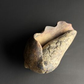 Kirsty Manger 31 Worn 9 x 10 x 18.5cm $250 sold Kirsty Manger 31 Worn 9 x 10 x 18.5cm $250 sold