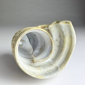 Kirsty Manger 5 Awash 11 x 15 x 18cm $350 Kirsty Manger 5 Awash 11 x 15 x 18cm $350