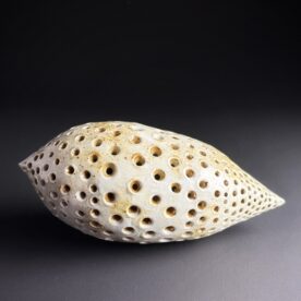 Kirsty Manger 9 Hidden 11 x 11 x 22cm $350 Kirsty Manger 9 Hidden 11 x 11 x 22cm $350