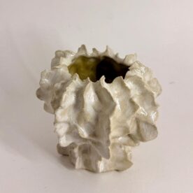 Sophia Legoe Cloudshell #3 Ceramic 8 x 13cm $120 Sophia Legoe Cloudshell #3 Ceramic 8 x 13cm $120