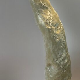 Karen Steenbergen Bells Beach 1, White stoneware clay 480 x 200 x 120mm $260 sold Karen Steenbergen Bells Beach 1, White stoneware clay 480 x 200 x 120mm $260 sold