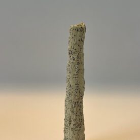 Karen Steenbergen Bells Beach Rocks 5 White stoneware clay, wild clay & Bells Beach sand sliip 220 x 40mm $95 Karen Steenbergen Bells Beach Rocks 5 White stoneware clay, wild clay & Bells Beach sand sliip 220 x 40mm $95