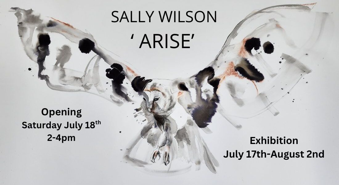 Banner ARISE SW 2026